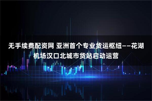 无手续费配资网 亚洲首个专业货运枢纽——花湖机场汉口北城市货站启动运营